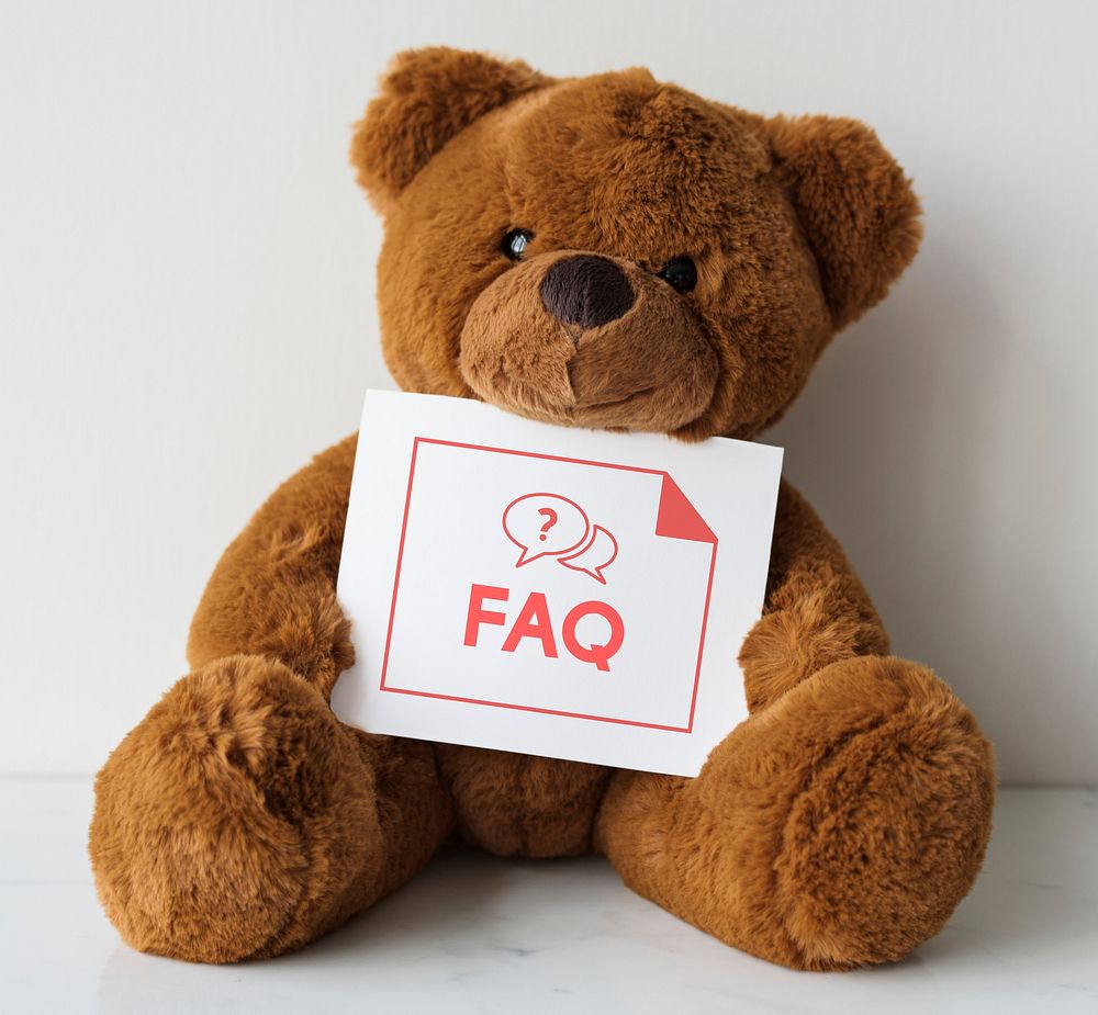 Bear doll with an FAQ card 