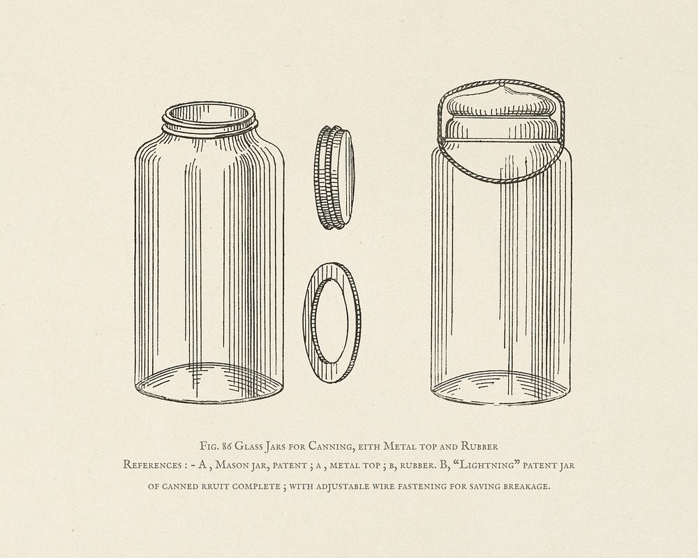 The fruit grower's guide : Vintage illustration of canning, jars, metal top, rubber