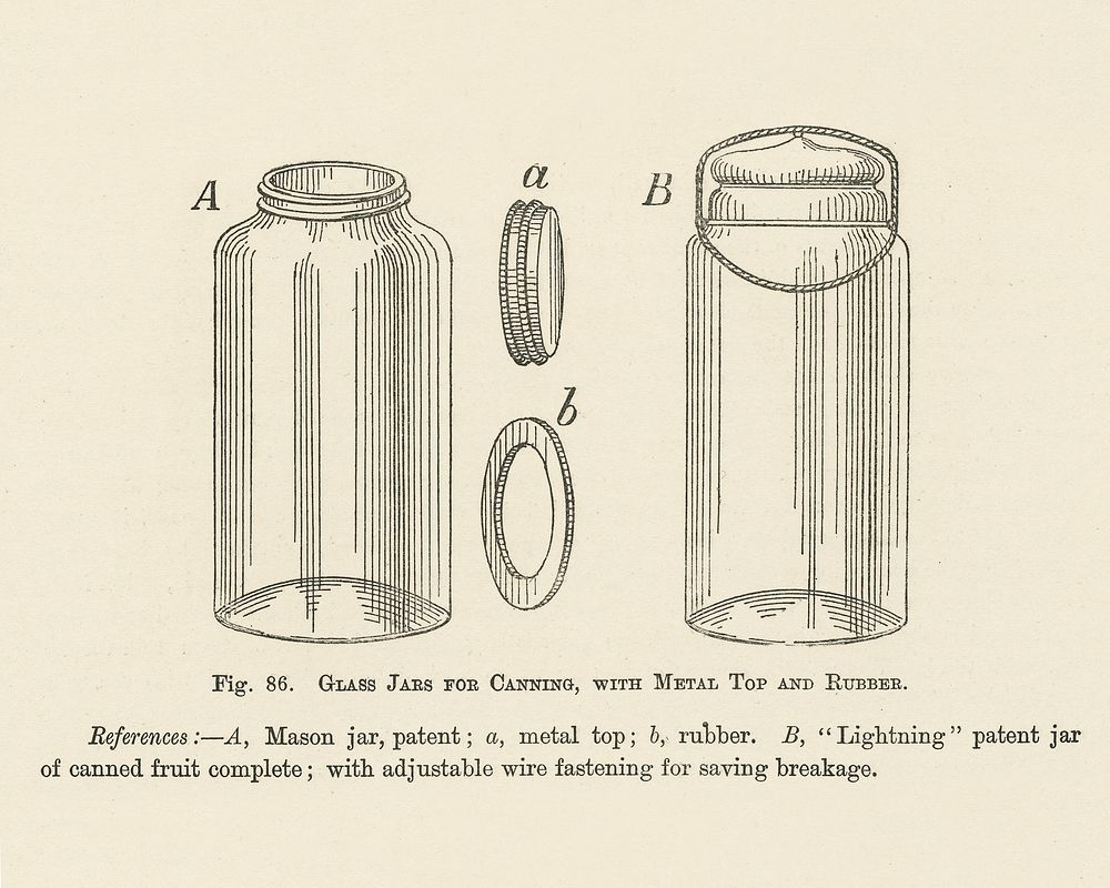 Vintage illustration of canning, jars, metal top, rubber digitally enhanced from our own vintage edition of The Fruit…