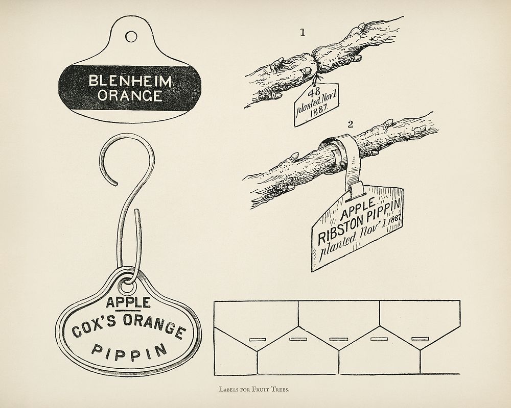 The fruit grower's guide : Vintage illustration of labels