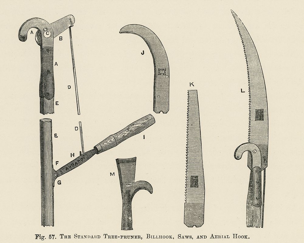Vintage illustration of tools digitally enhanced from our own vintage edition of The Fruit Grower's Guide (1891) by John…
