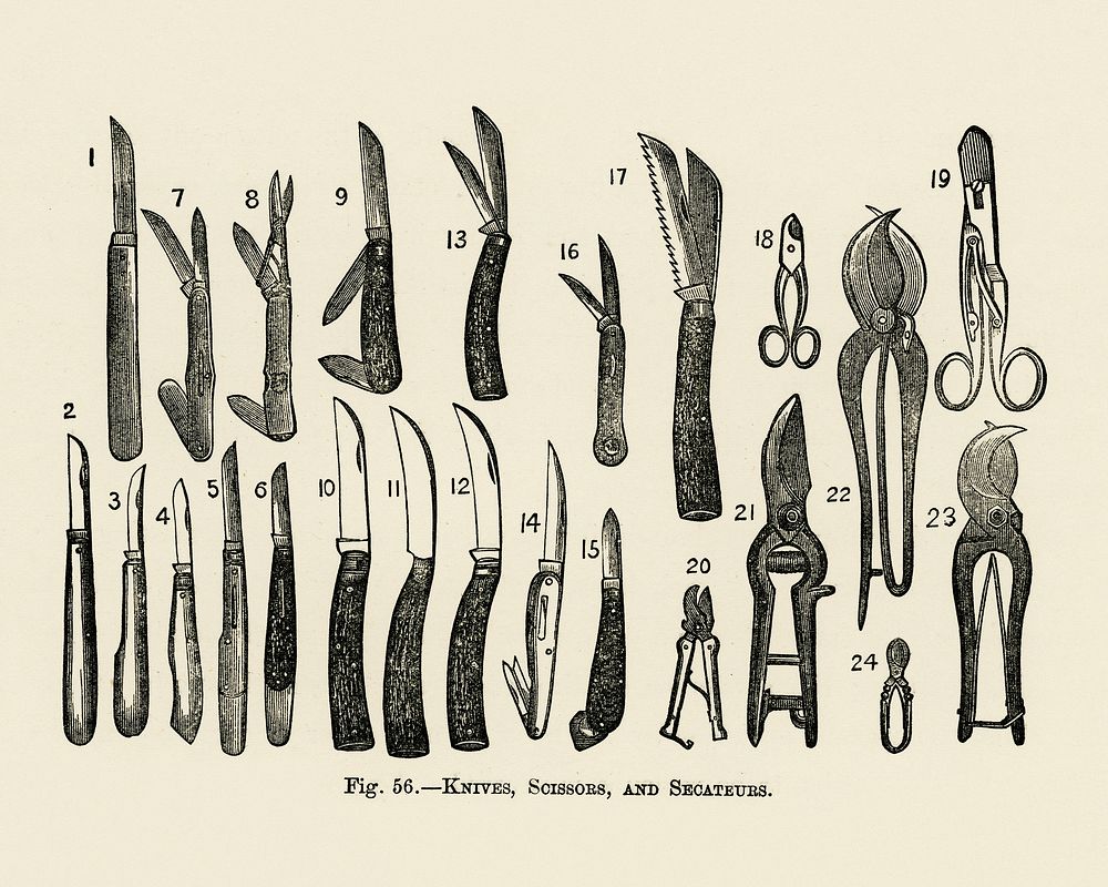 Vintage illustration of knives, scissors, secateurs digitally enhanced from our own vintage edition of The Fruit Grower's…