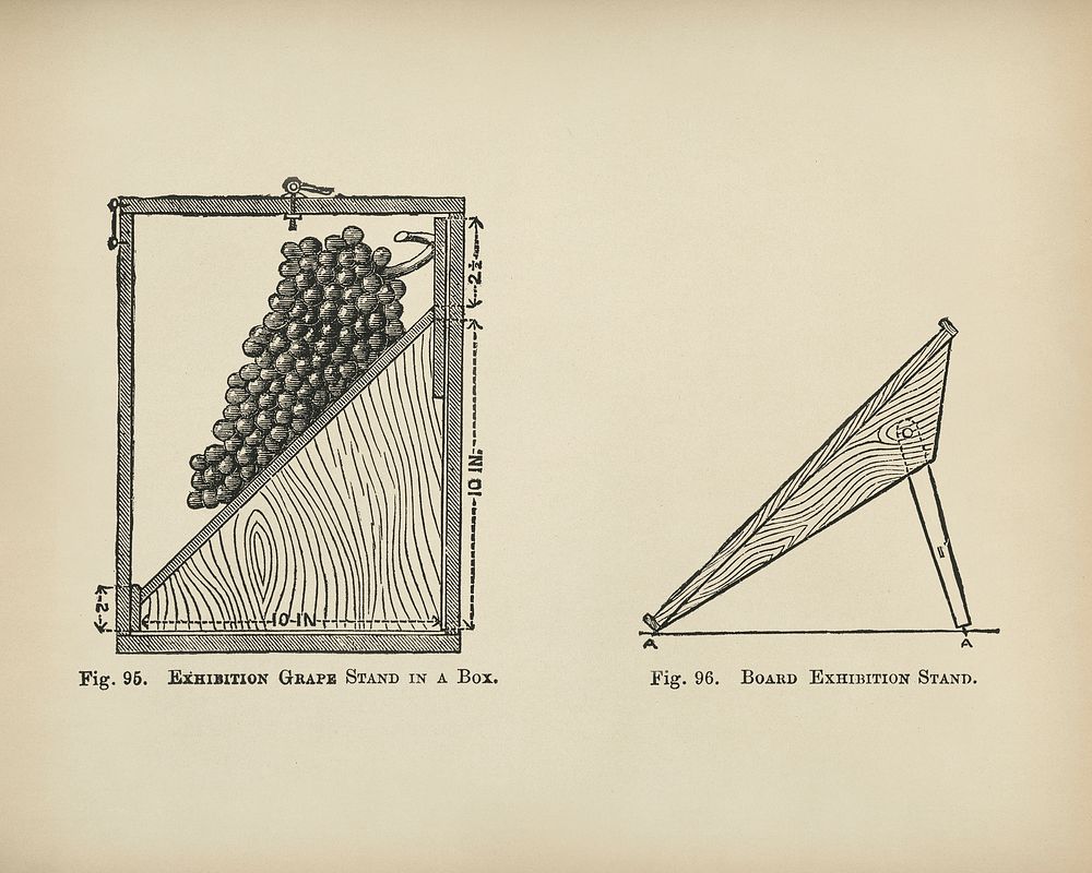 The fruit grower's guide : Vintage illustration of a grape stand