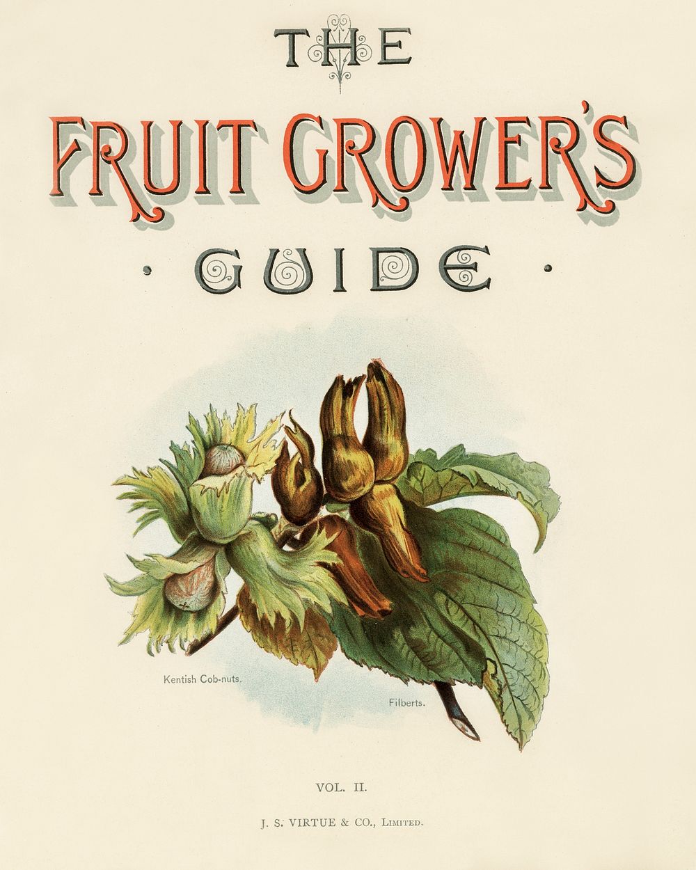 Vintage illustrations of fruits digitally enhanced from our own vintage edition of The Fruit Grower's Guide (1891) by John…