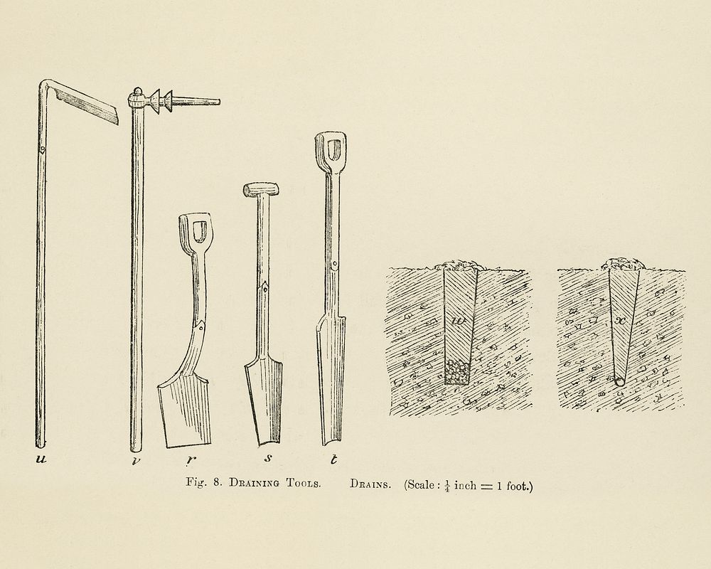 Vintage illustration of draining tools, drains digitally enhanced from our own vintage edition of The Fruit Grower's Guide…