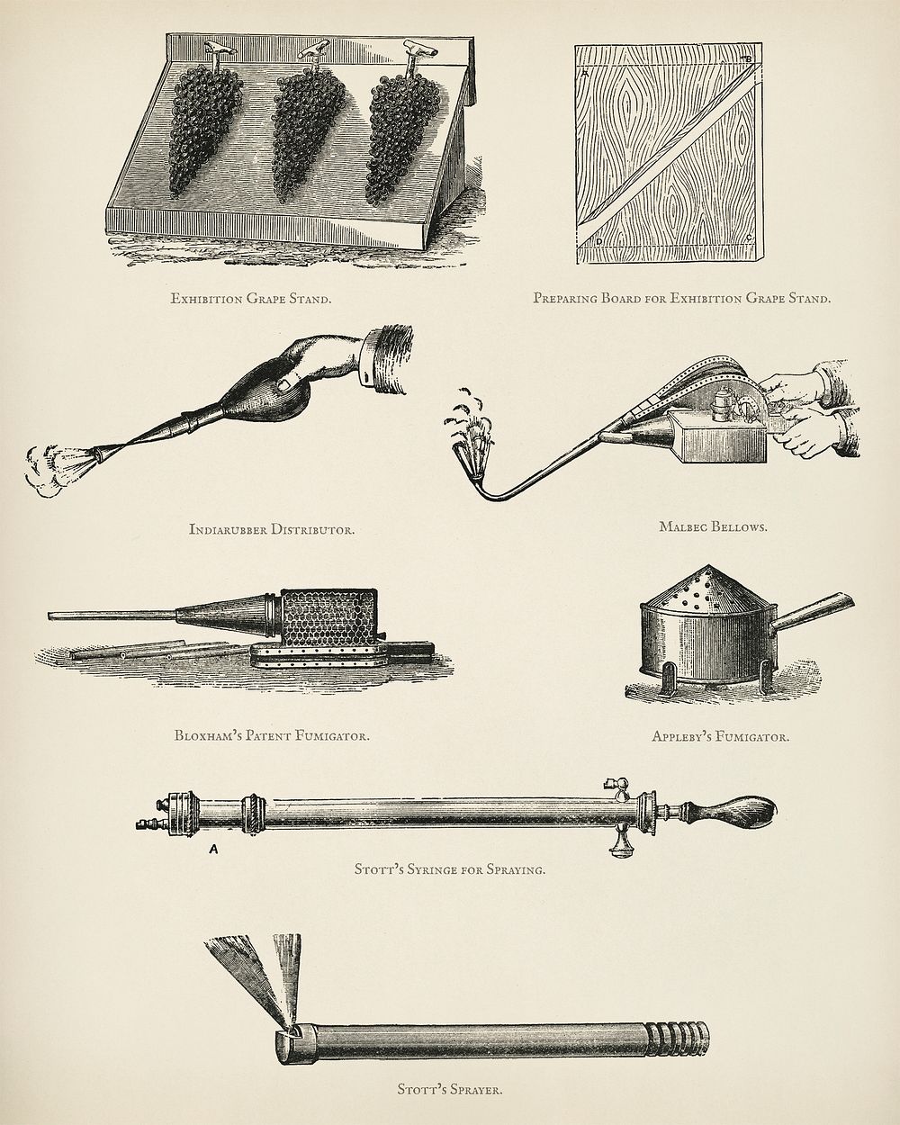 The fruit grower's guide : Vintage illustration of tools