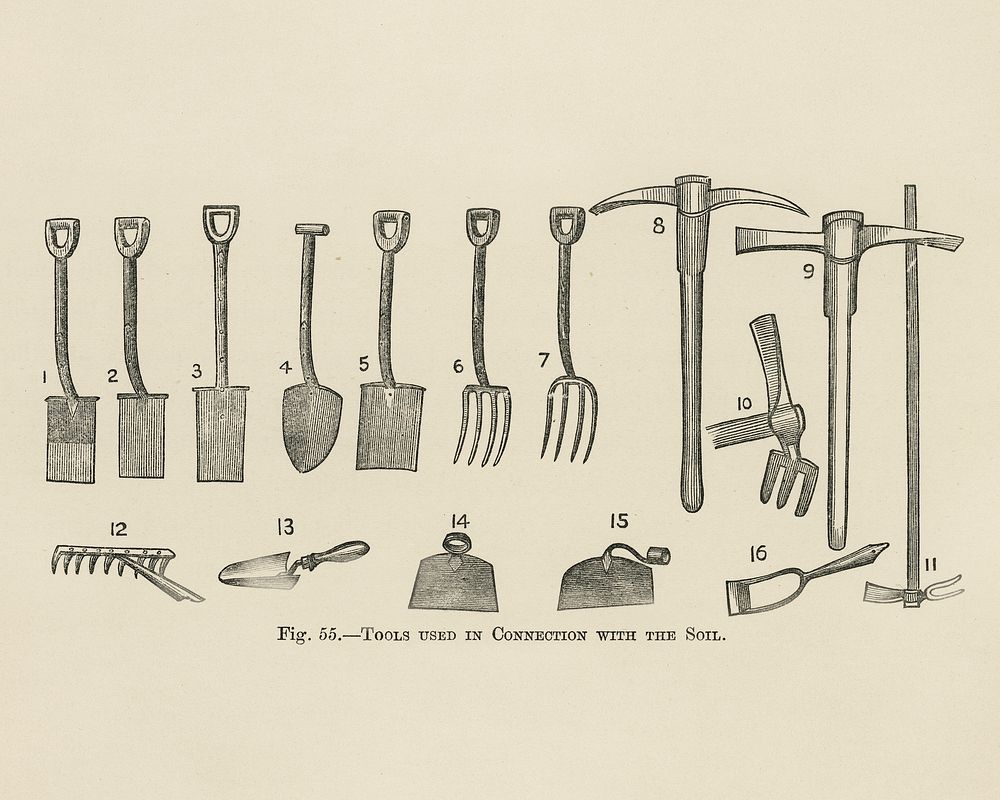 Vintage illustration of tools digitally enhanced from our own vintage edition of The Fruit Grower's Guide (1891) by John…