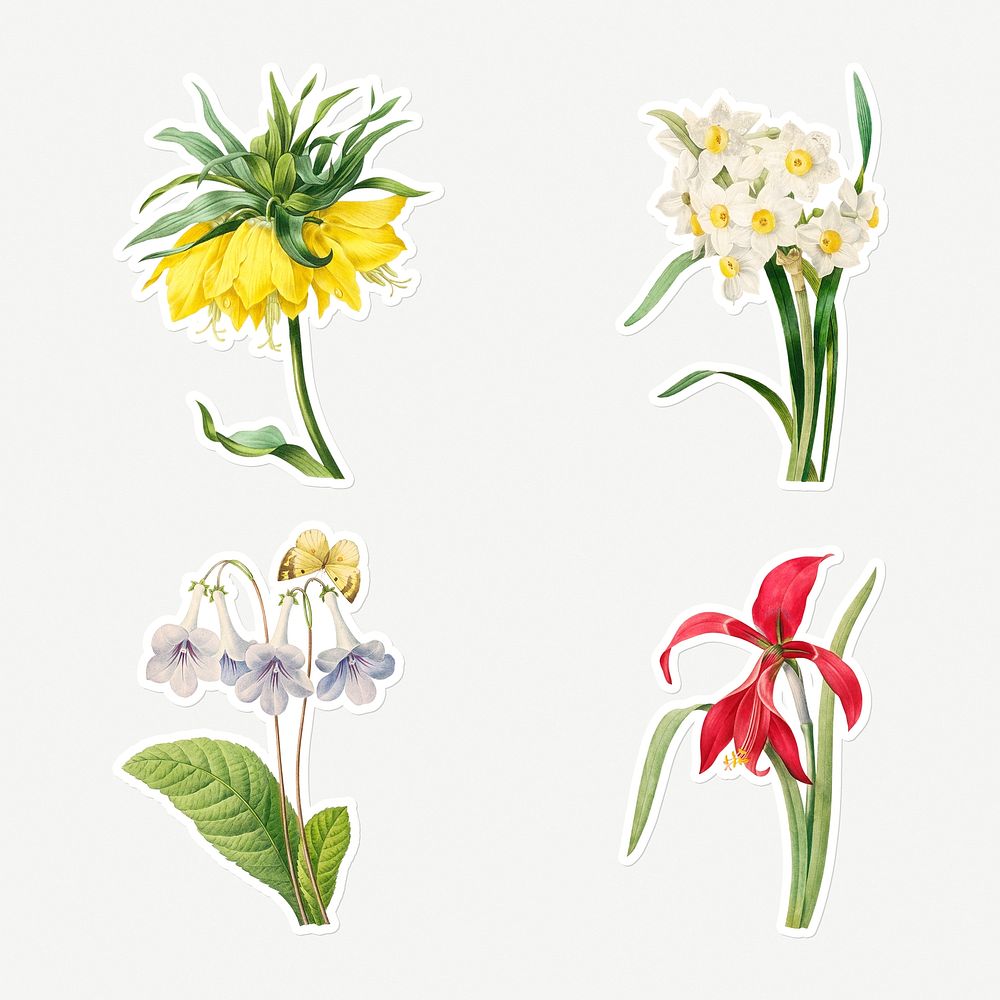 Blooming flower sticker design element set 