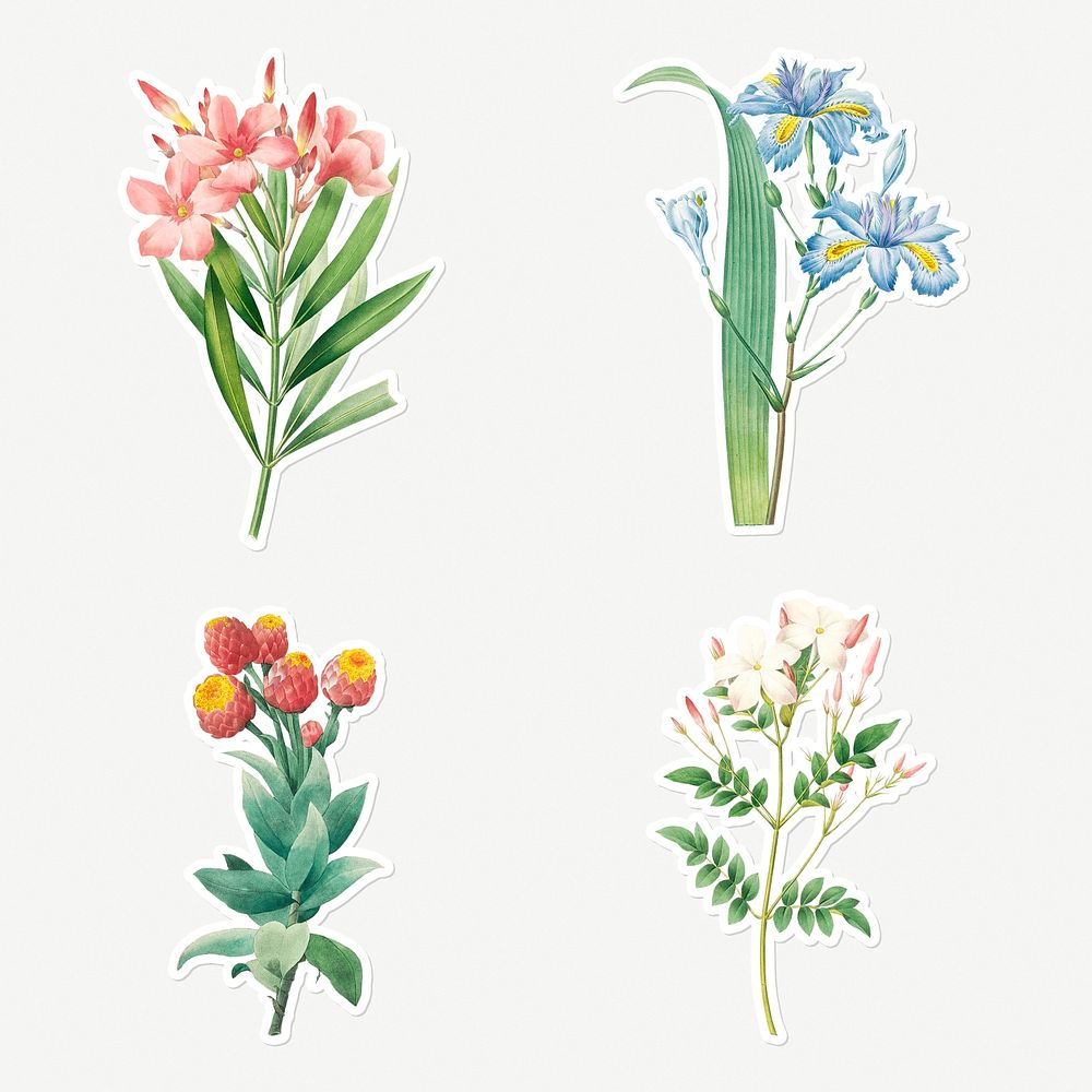 Flower sticker design resource set 