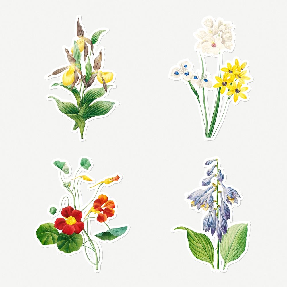 Flower sticker design resource set 
