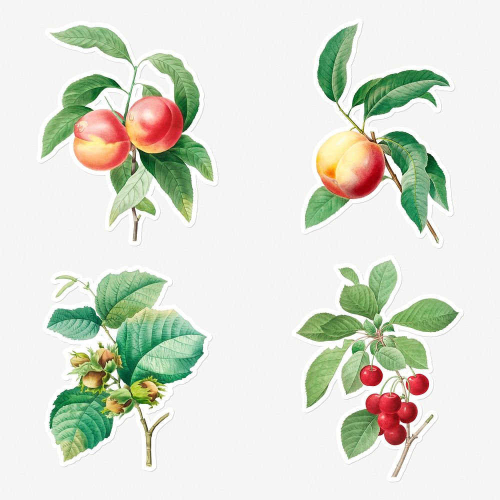 Fruit sticker design resource set