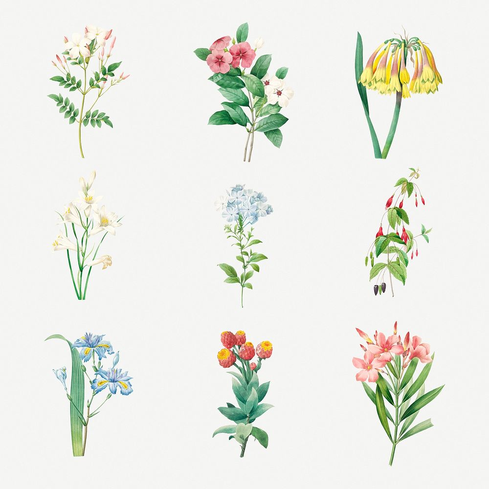 Beautiful flower sticker design resource set 