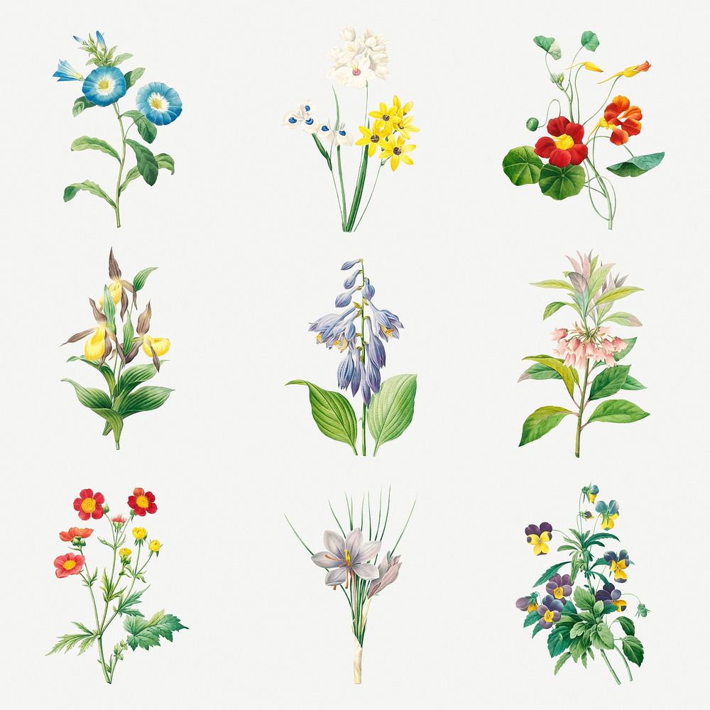 Flower sticker design resource set