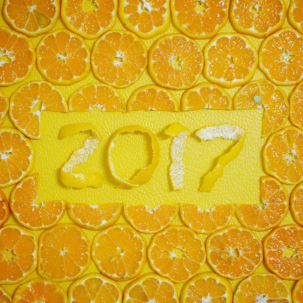 Round Orange Slices Fruit 2017 xmas