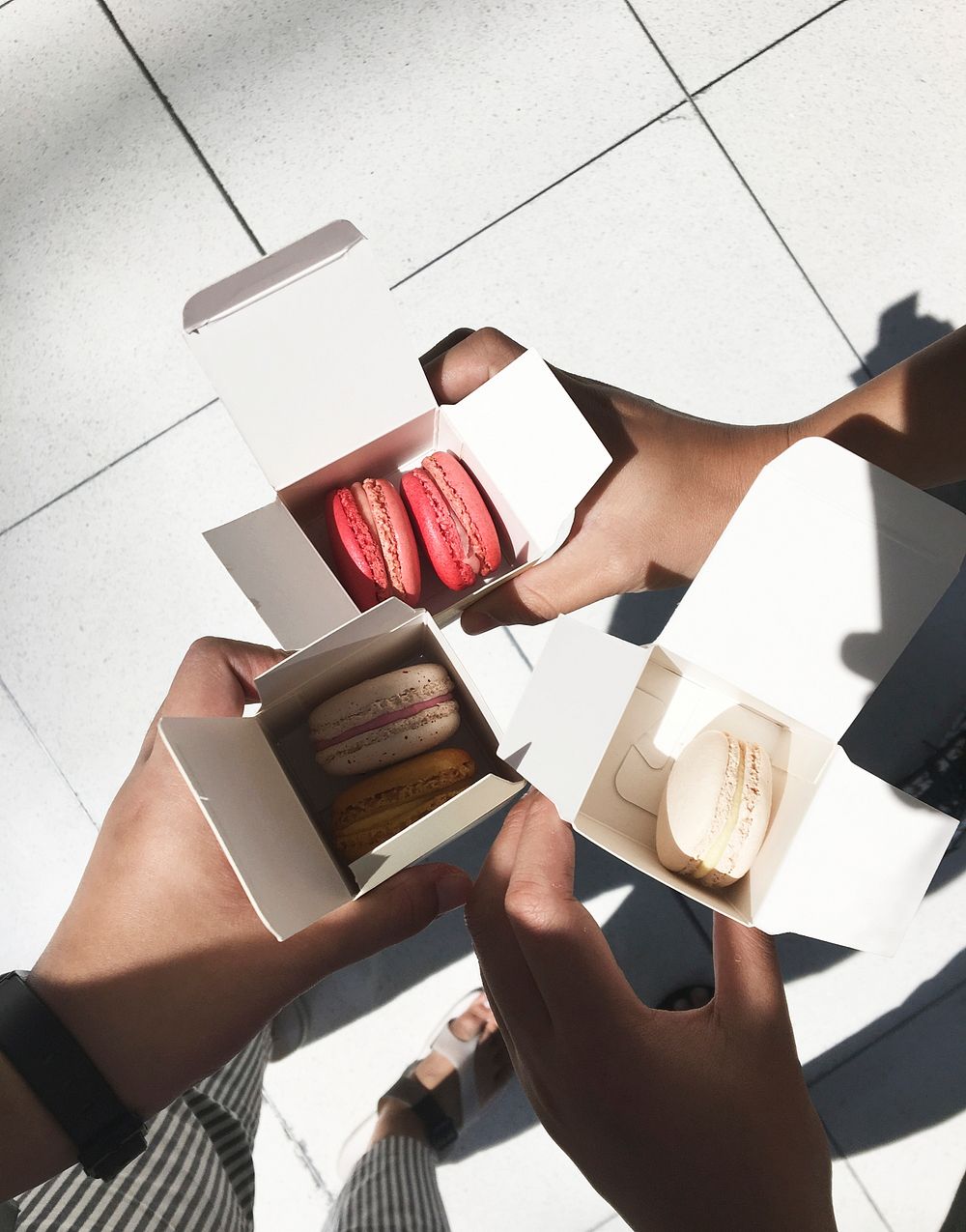 People Holding Macarons In Box