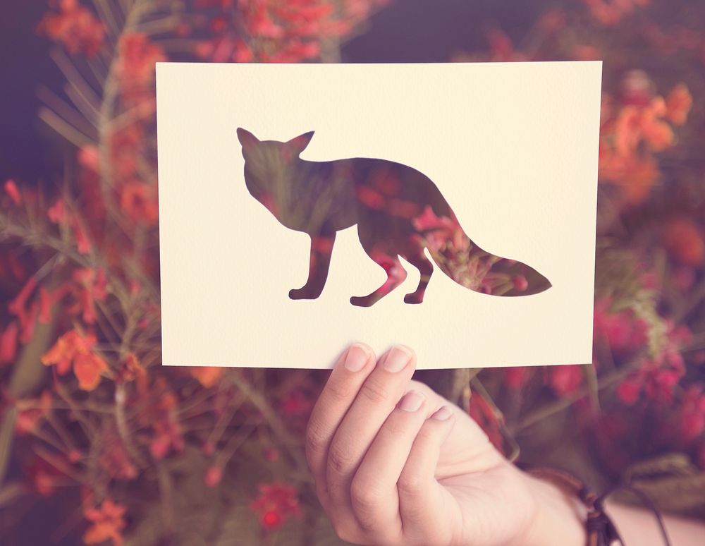 Hand Hold Fox Paper Carving with Flower Background