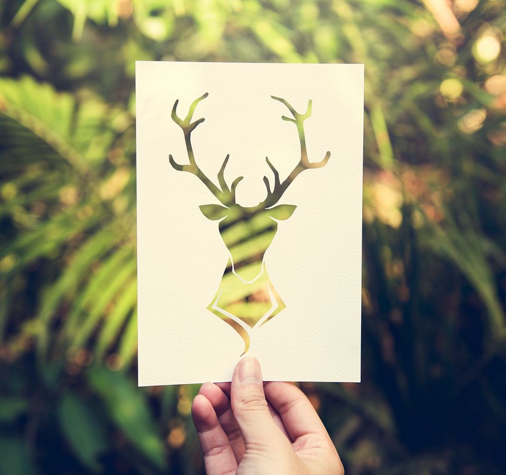 Hand Hold Deer with Antlers Paper Carving with Nature