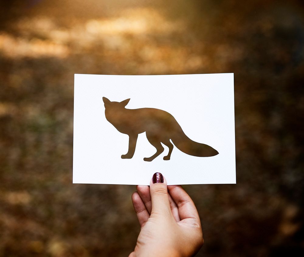 Cut out of a fox