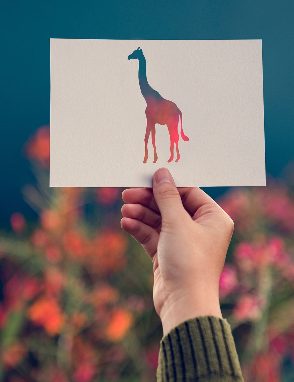 Hand Hold Giraffe Paper Carving with Flower Background