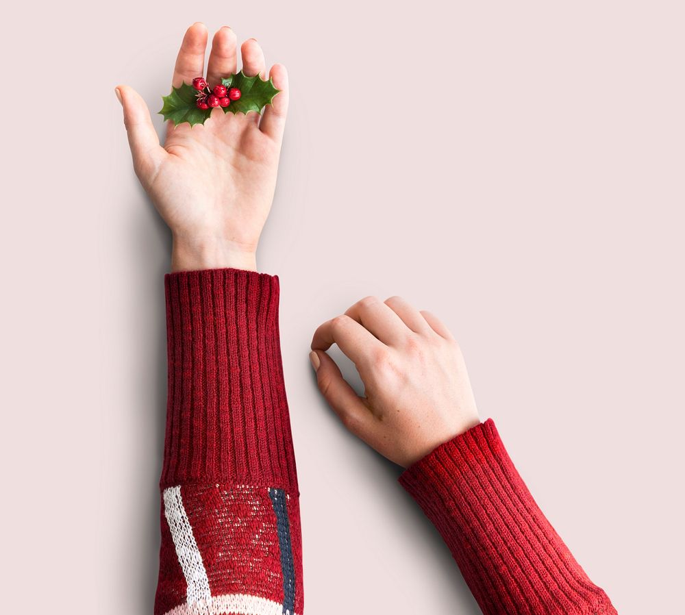 Hand Holding Mistletoe Christmas Decoration