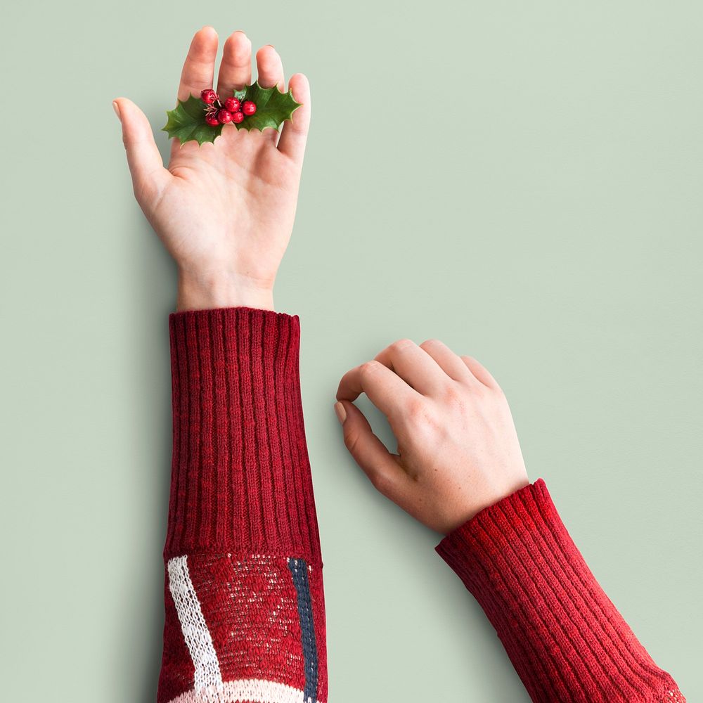 Hand Holding Mistletoe Christmas Decoration