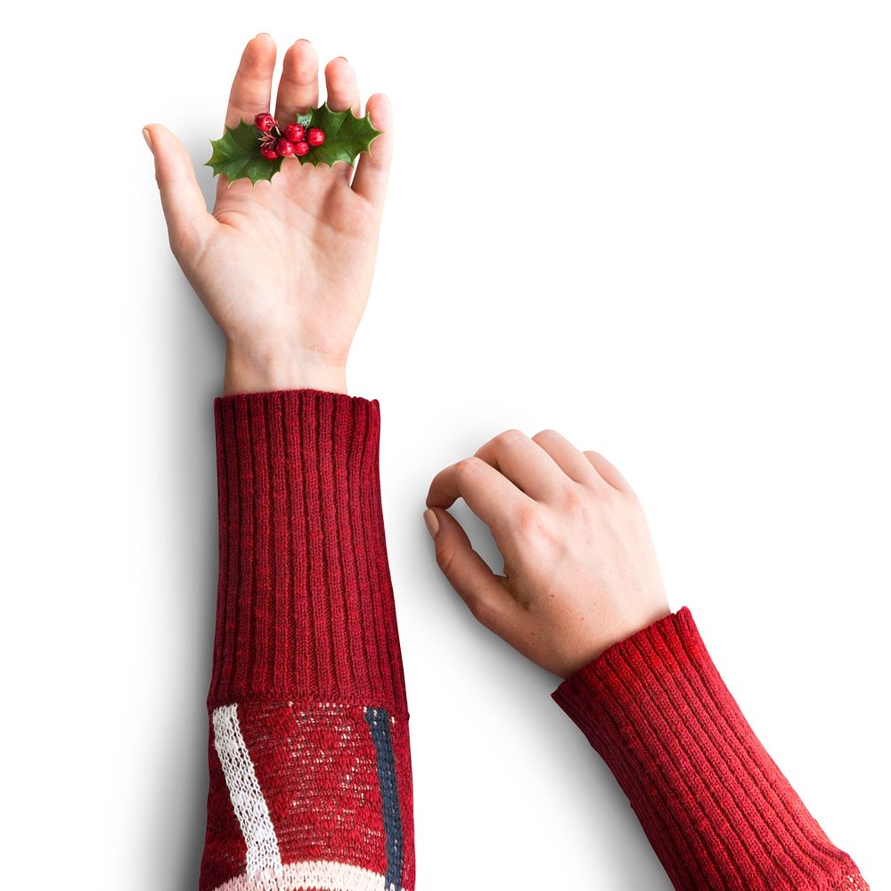 Hands with holly leaves and berries