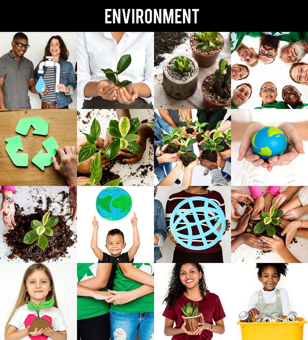 Environment Responsible Green Global Ecology People Studio Collage