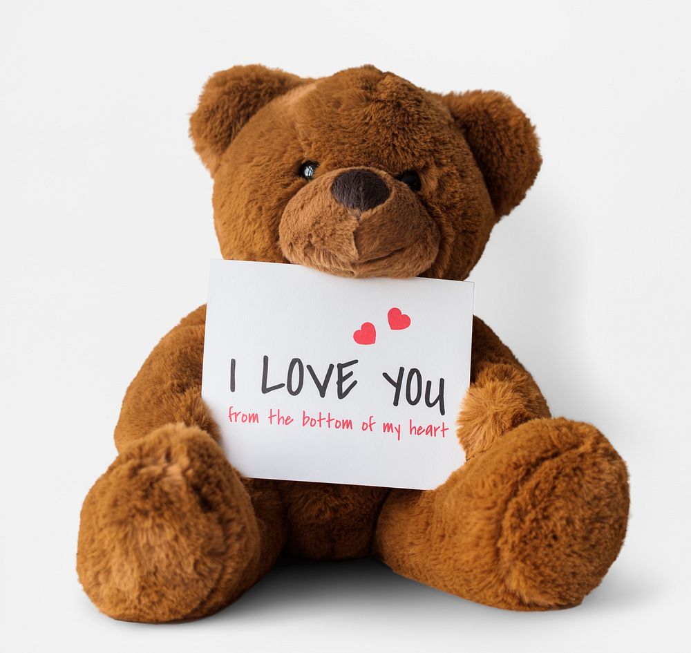 Teddy Bear Toy Present Gift Note