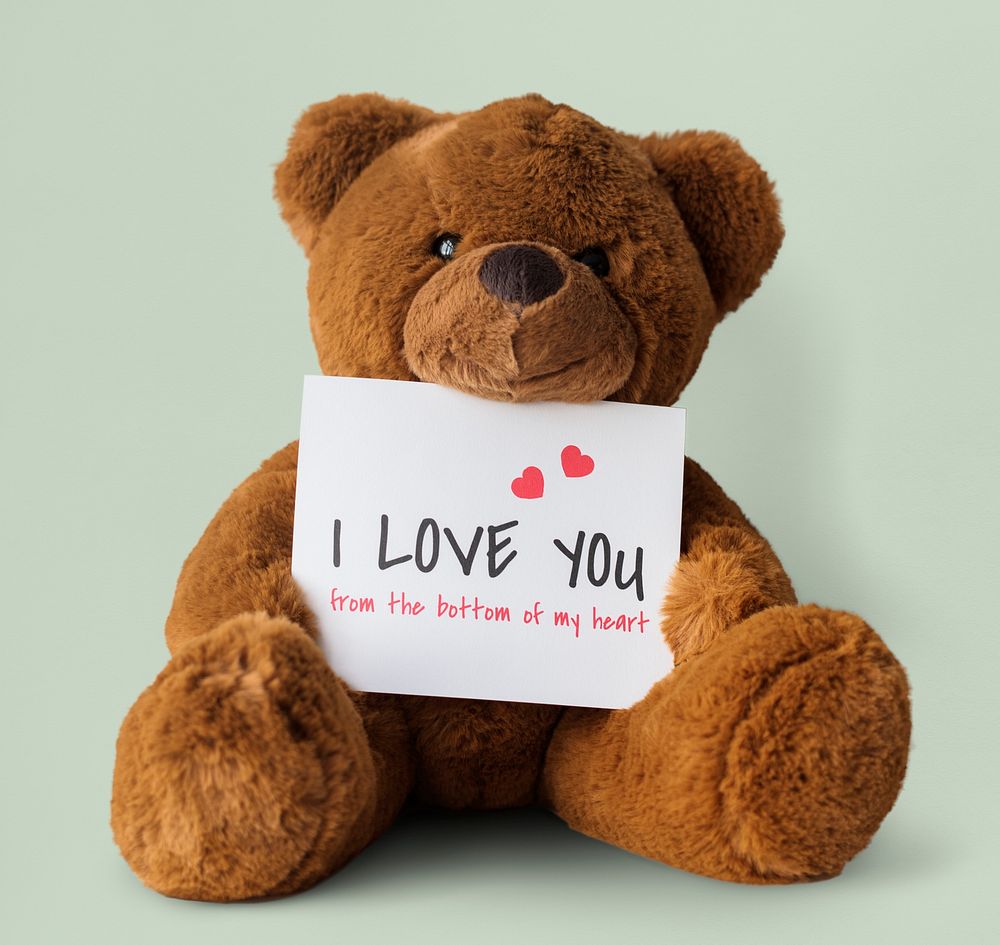 Teddy Bear Toy Present Gift Note