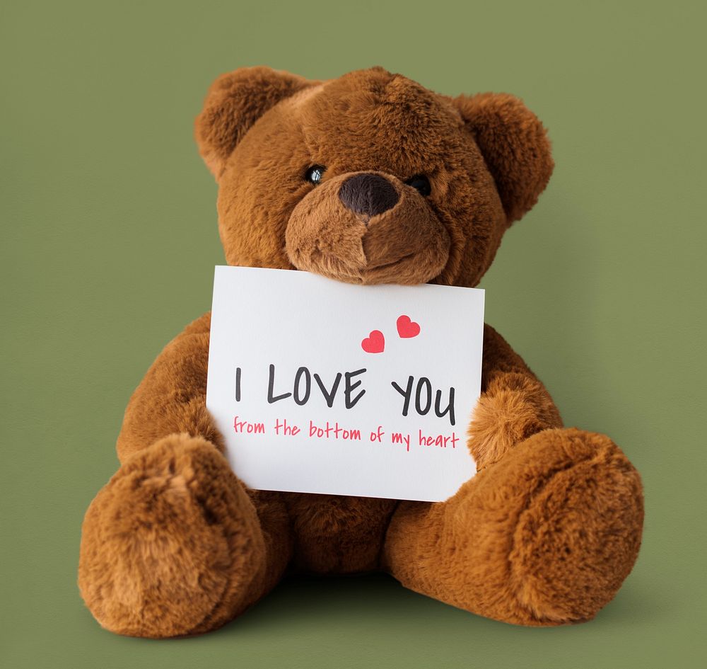 Teddy Bear Toy Present Gift Note