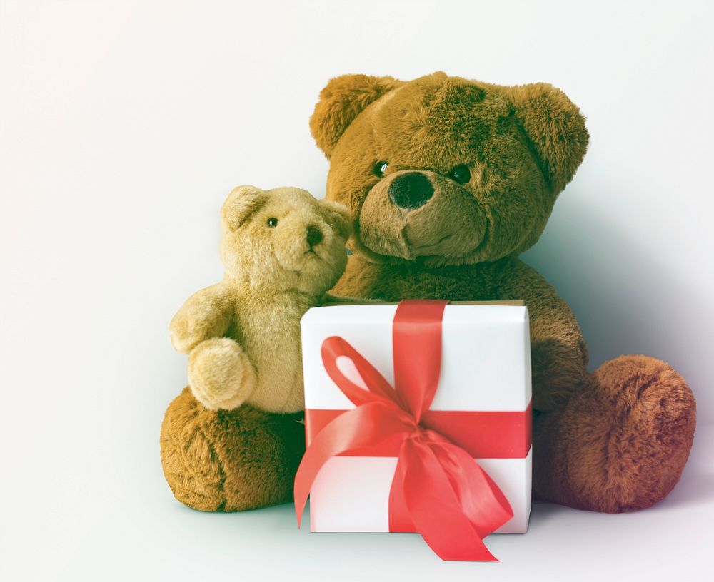 Teddy Bear toy Pprsent gift on valentine
