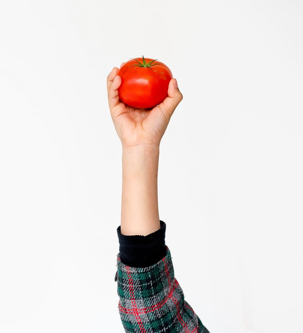 Hand Holding Tomato on White Background
