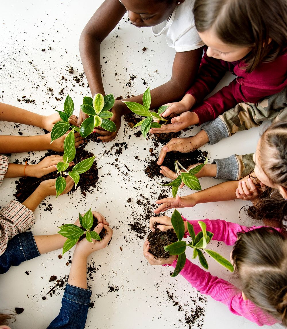 A group of primary schoolers planting a tree together