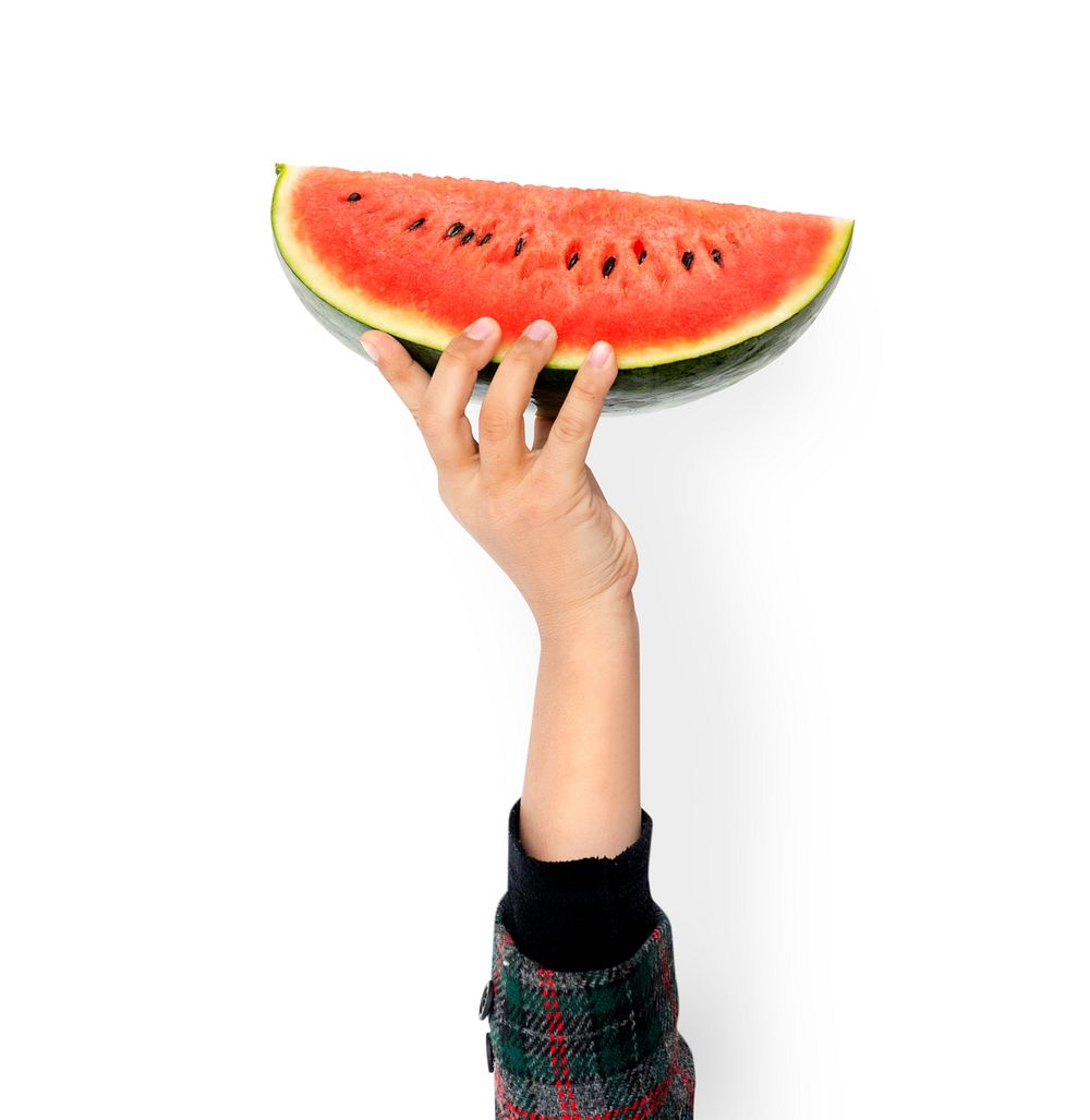 Hand Holding Watermelon Isolated Concept