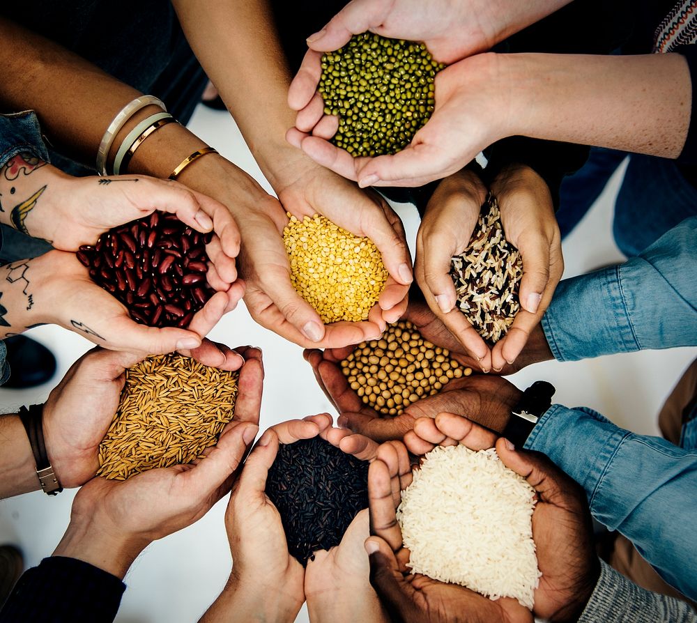People holding grains in their hands