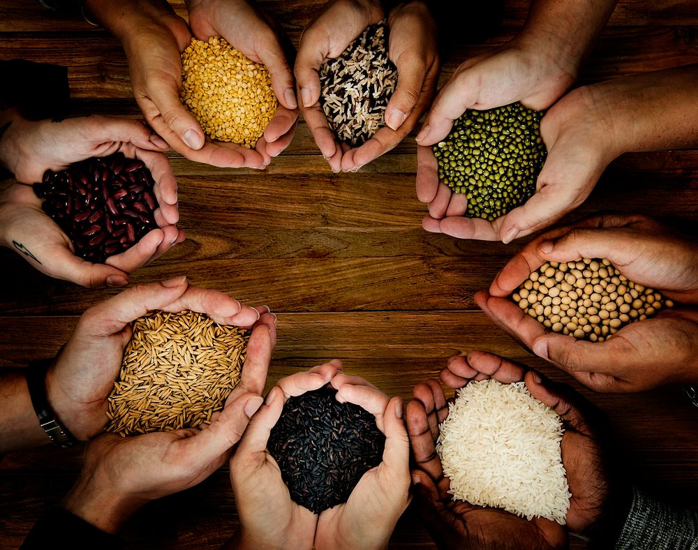 People holding grains