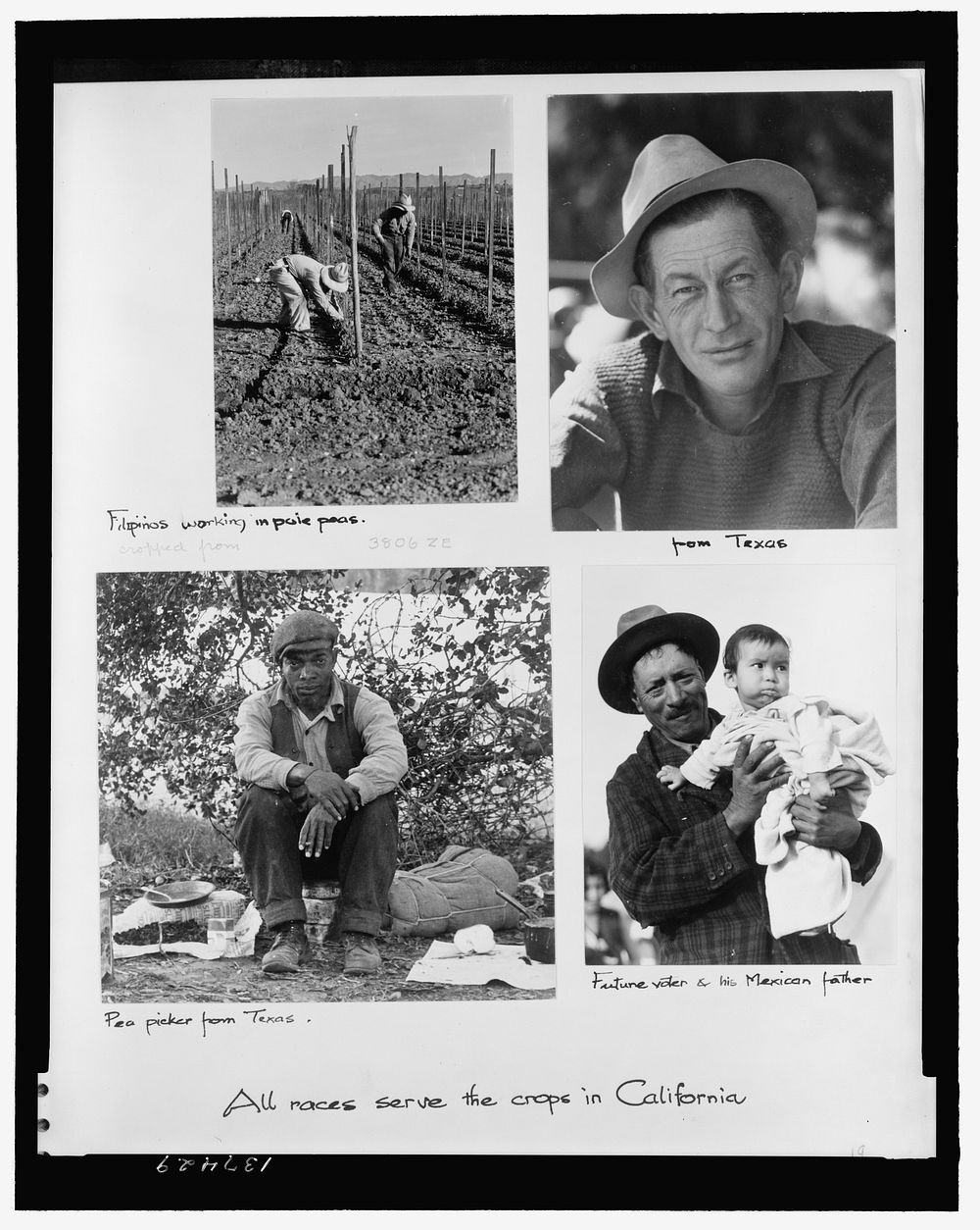 All races serve the crops in California. Sourced from the Library of Congress.