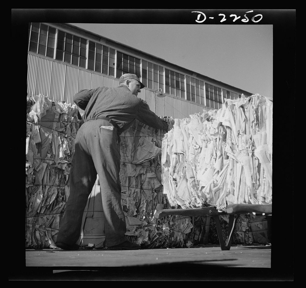 Rags. Collection and processing. Truckman unloading bales of waste paper outside a large Maryland plant which uses this…