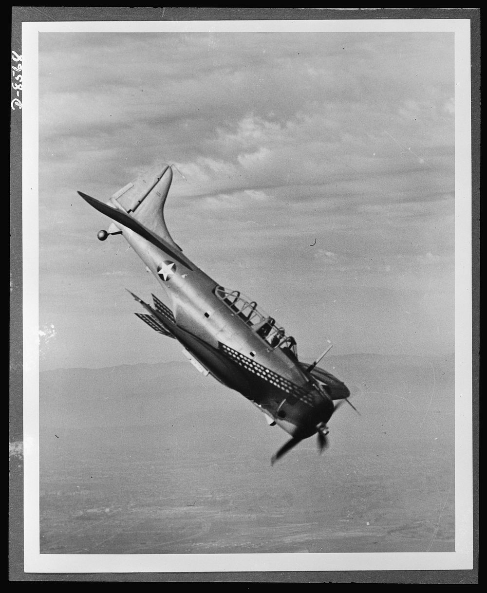 The Douglas A-24 (Dauntless) light dive bomber, is the Army counterpart of the Navy SBD, with certain modifications to meet…