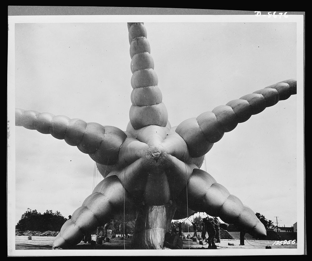 Balloon barrage training center. Aerial octopus. This strange looking creature is a tail view of one of the barrage balloons…