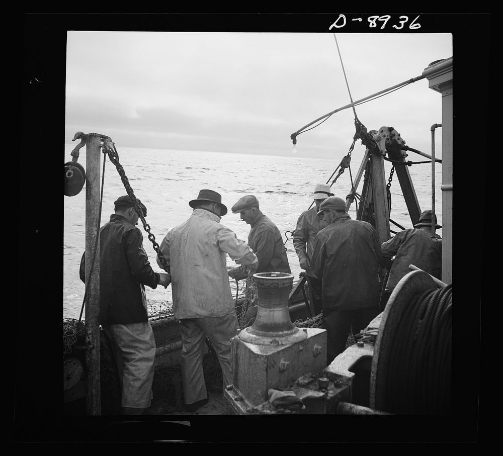 Victory food from American waters. At sunset fishermen mend nets torn by rocks on the ocean floor. A shortage of linen twine…