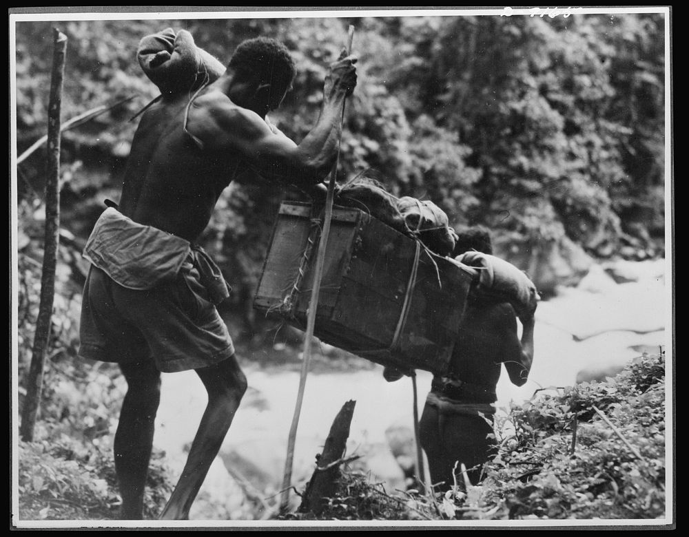 Natives aid Allied drive in New Guinea jungles. Long distances must be traversed by the supply lines of the Allied troops in…