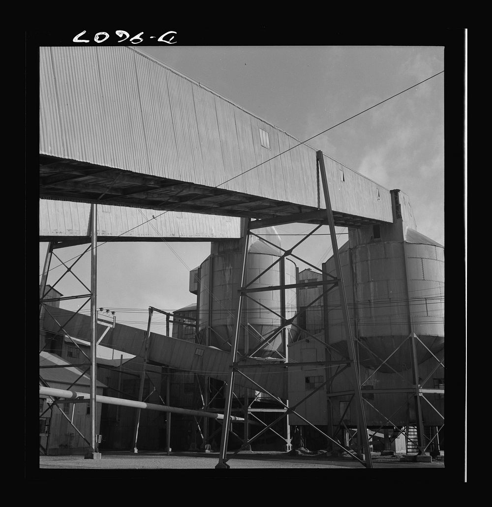 Production. Zinc. Belt conveyor galleries at a large zinc concentrator plant. From the Eagle-Picher plant near Cardin…
