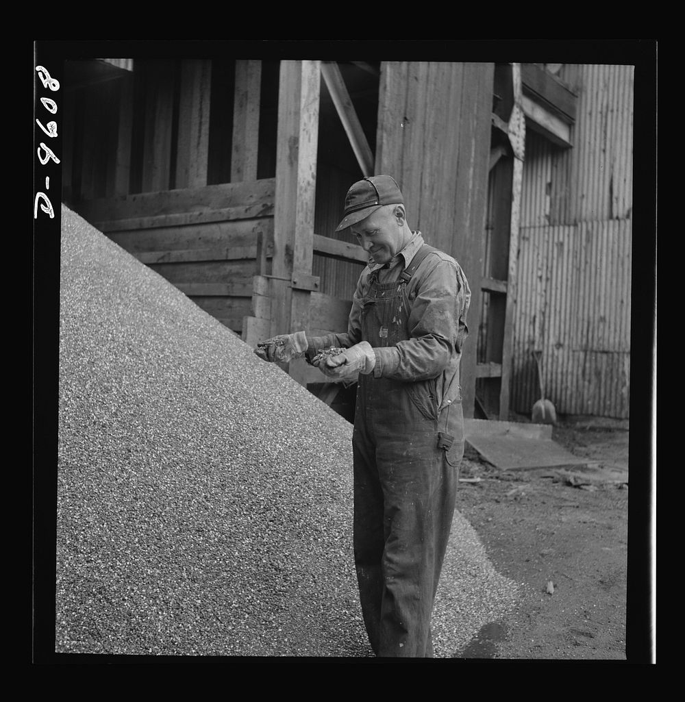 Production. Zinc. A pile of zinc concentrate ready for shipment to the smelter. From the Eagle-Picher plant near Cardin…
