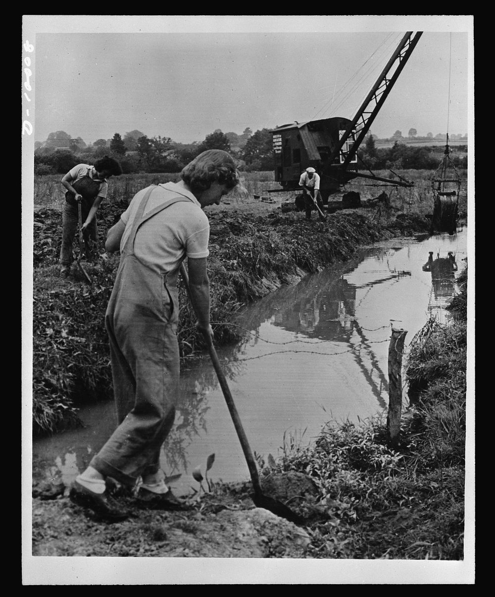Food in England. Members of the Women's Land Army in Britain help drain marshy land to provide extra arable acreage and…
