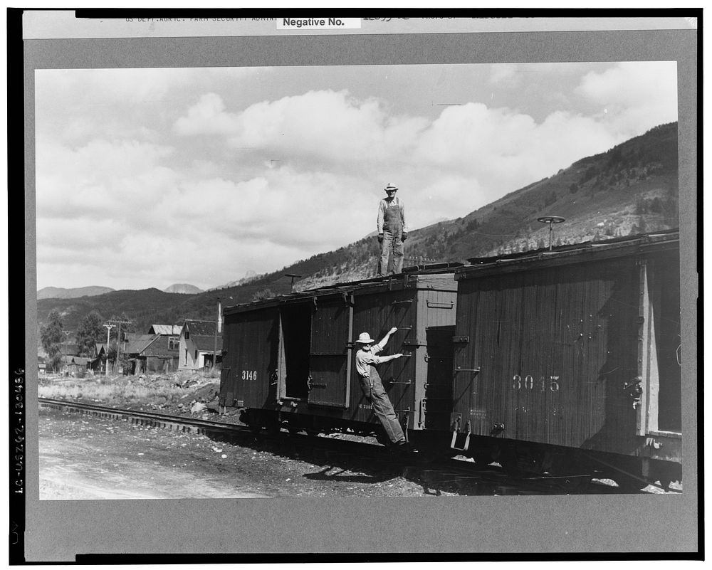 Freight cars of narrow gauge railway, Telluride, Colorado by Russell Lee