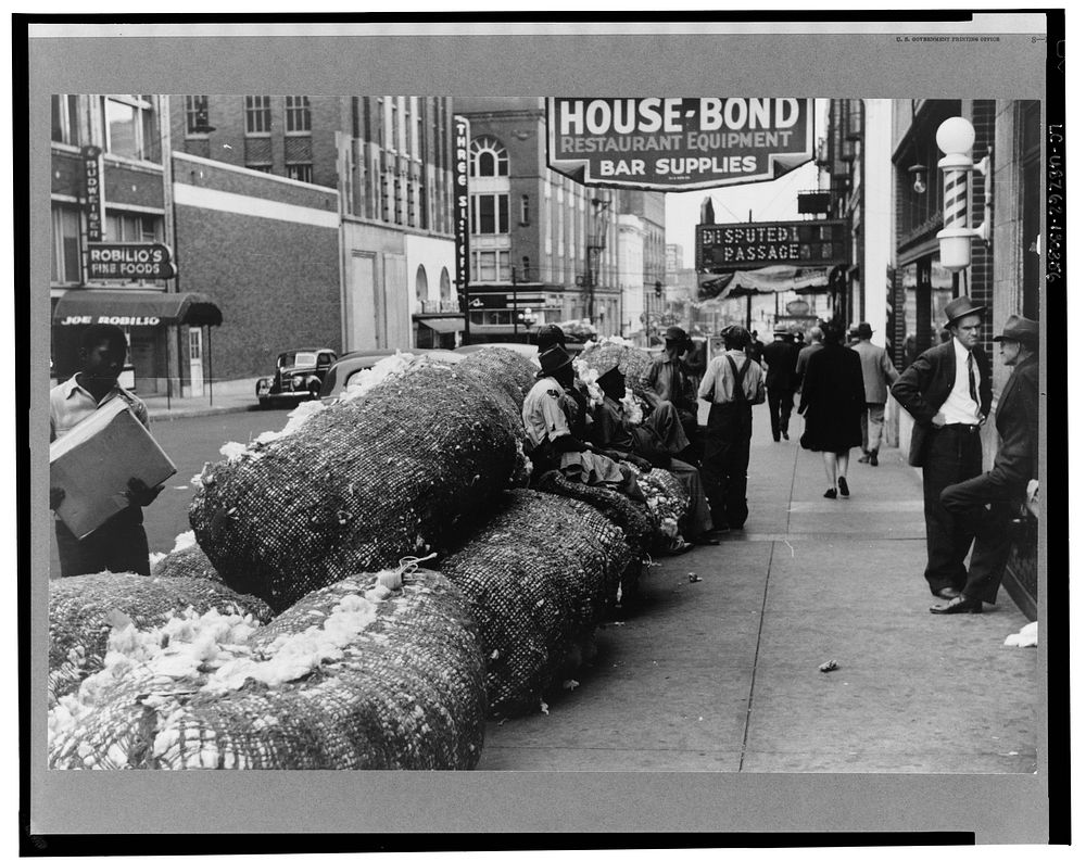Cotton snakes (waste cotton) on Cotton Row, Front Street, Memphis, Tennessee. Sourced from the Library of Congress.