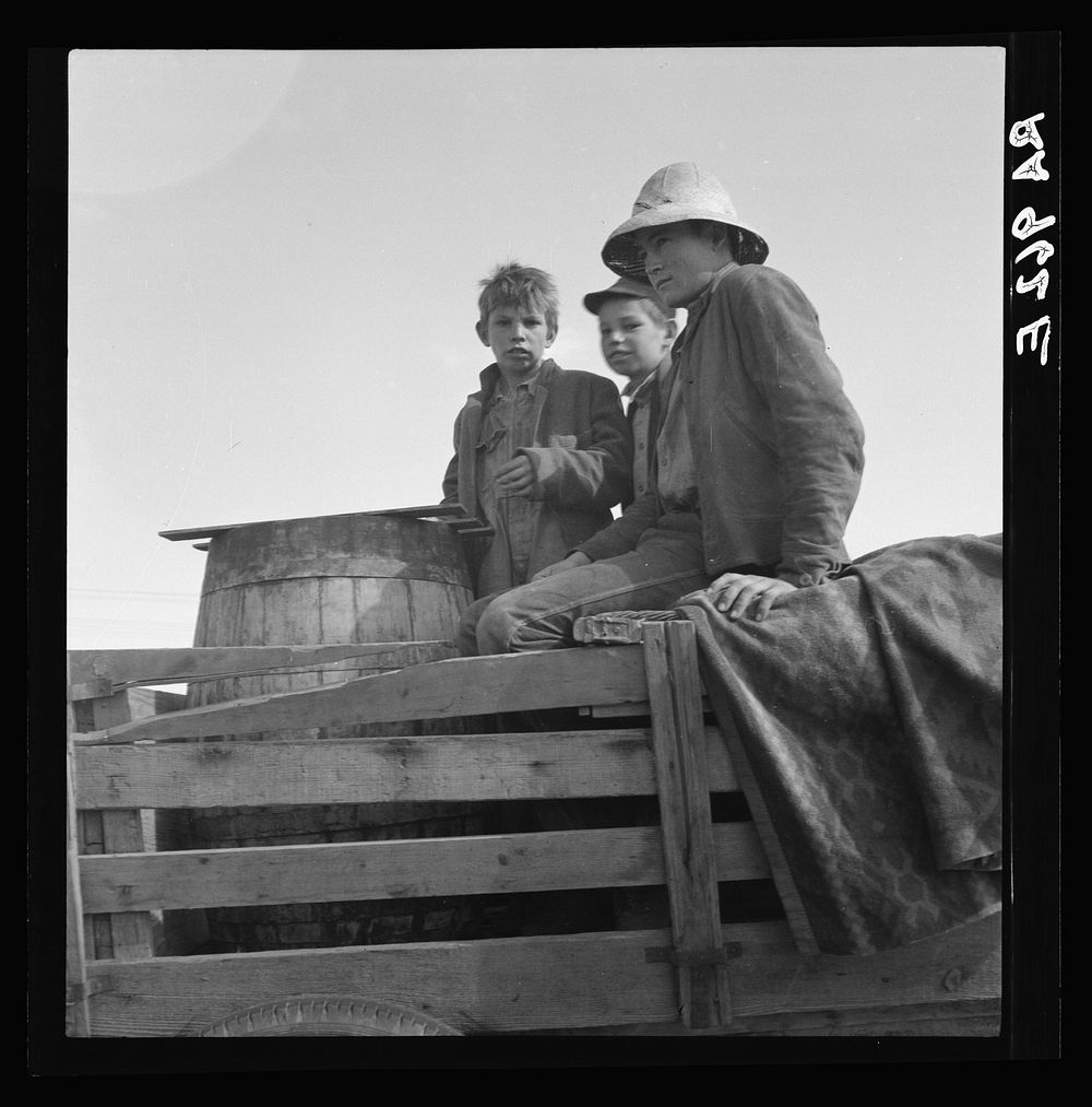 On location of Resettlement Administration film near Bakersfield, California. Three brothers, drought refugees from Texas…