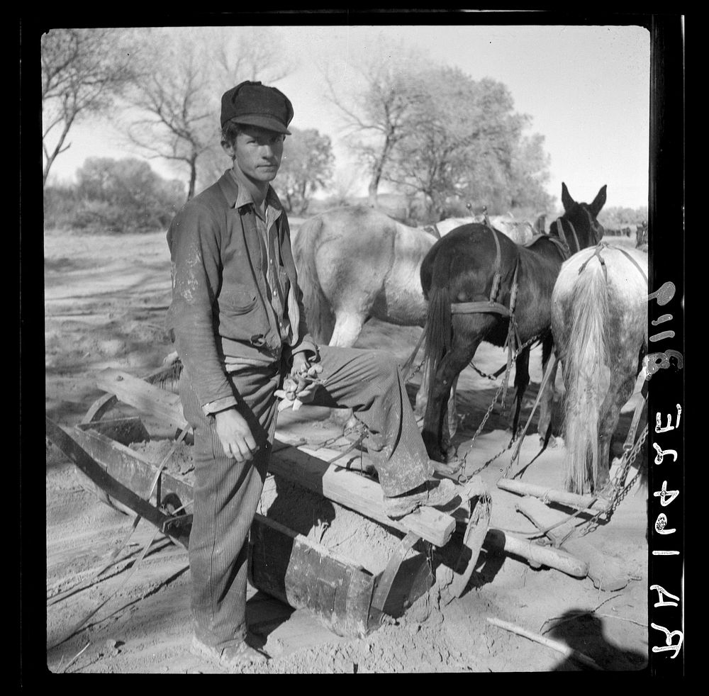 A new start. Bosque Farms project, New Mexico. Sourced from the Library of Congress.