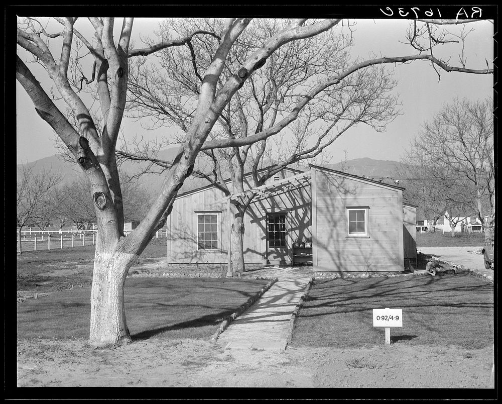 El Monte federal subsistence homesteads. One hundred homes, all occupied, each with three quarters of an acre land. Average…